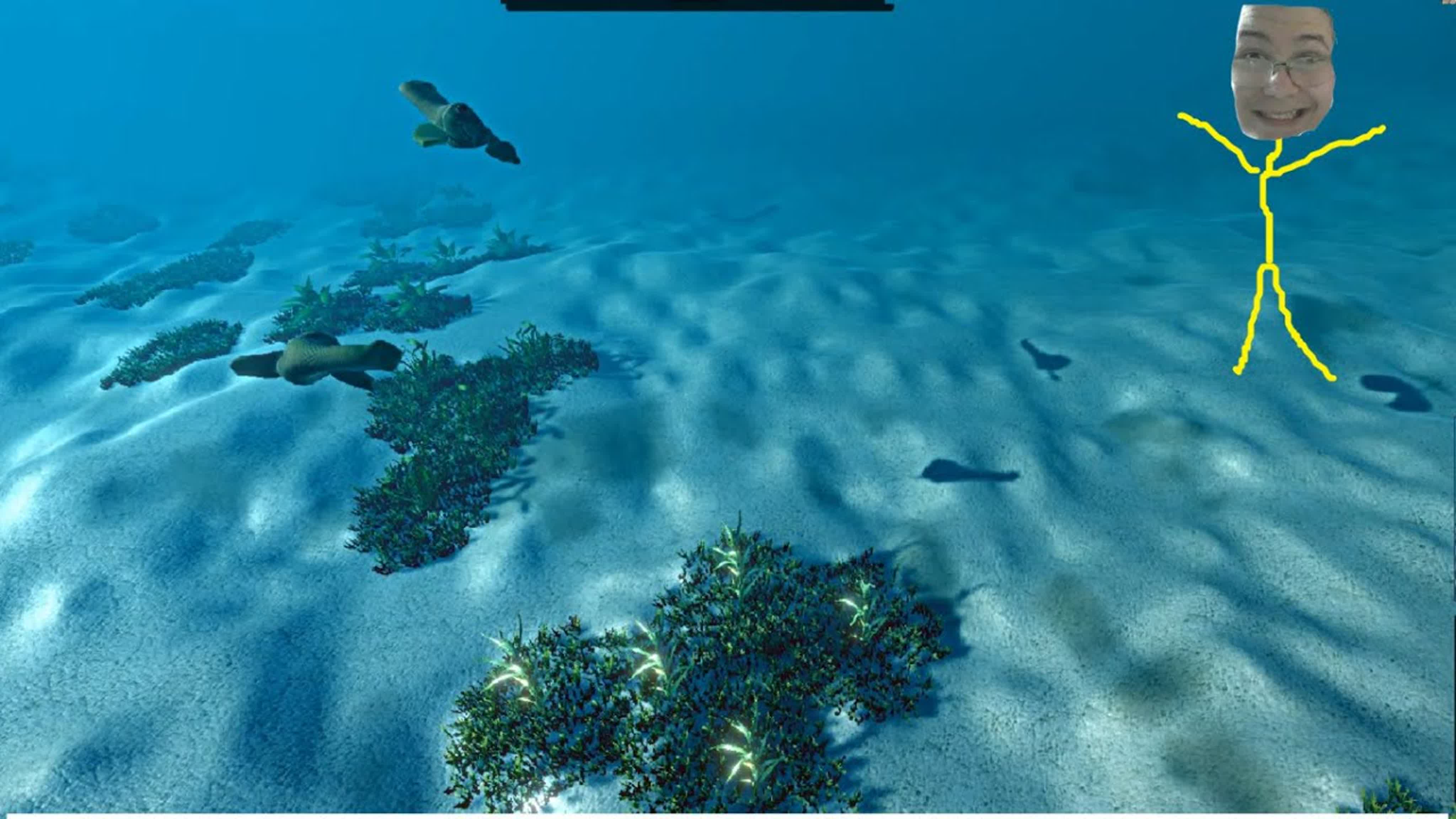ECOSYSTEM