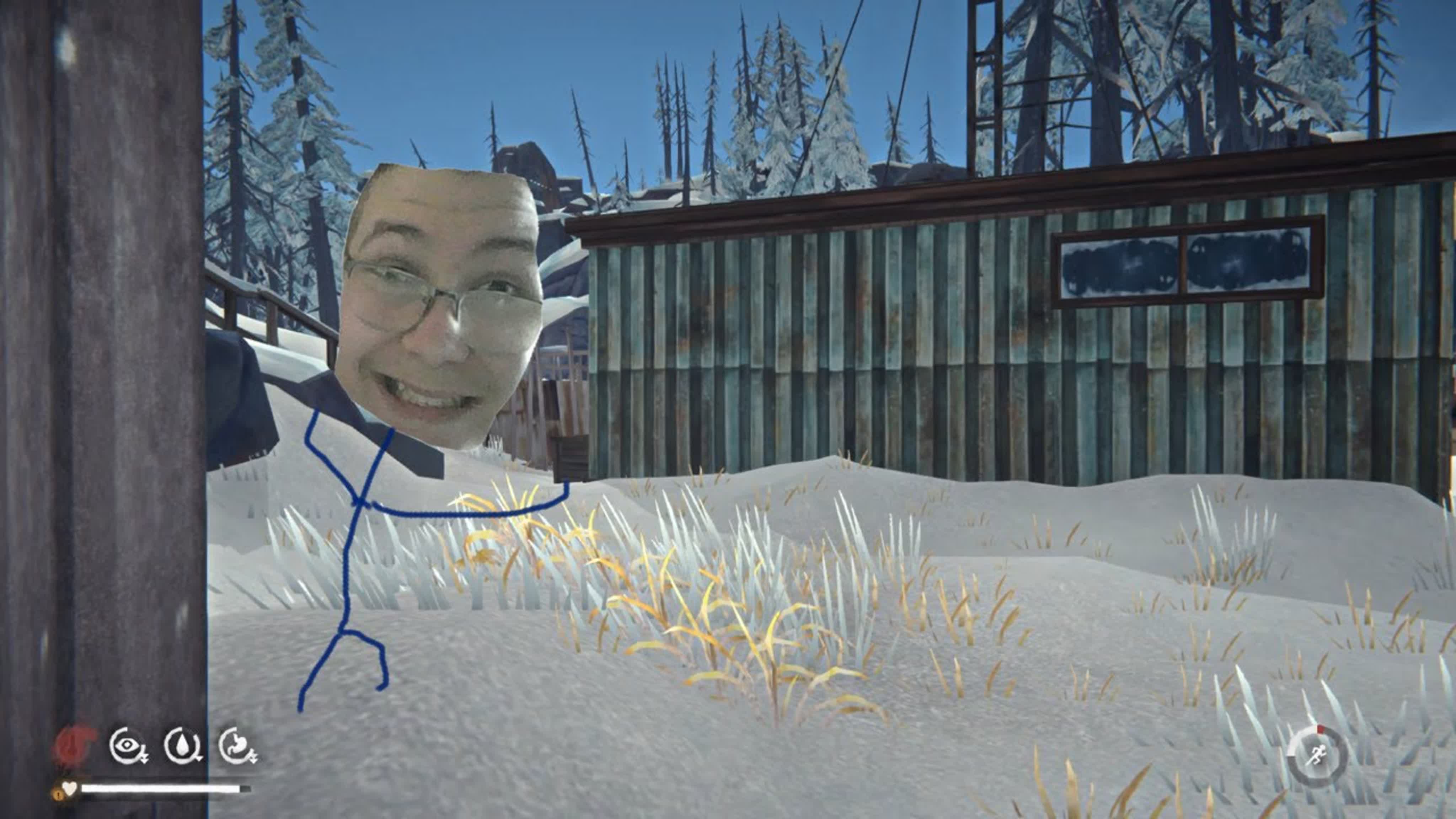 THE LONG DARK