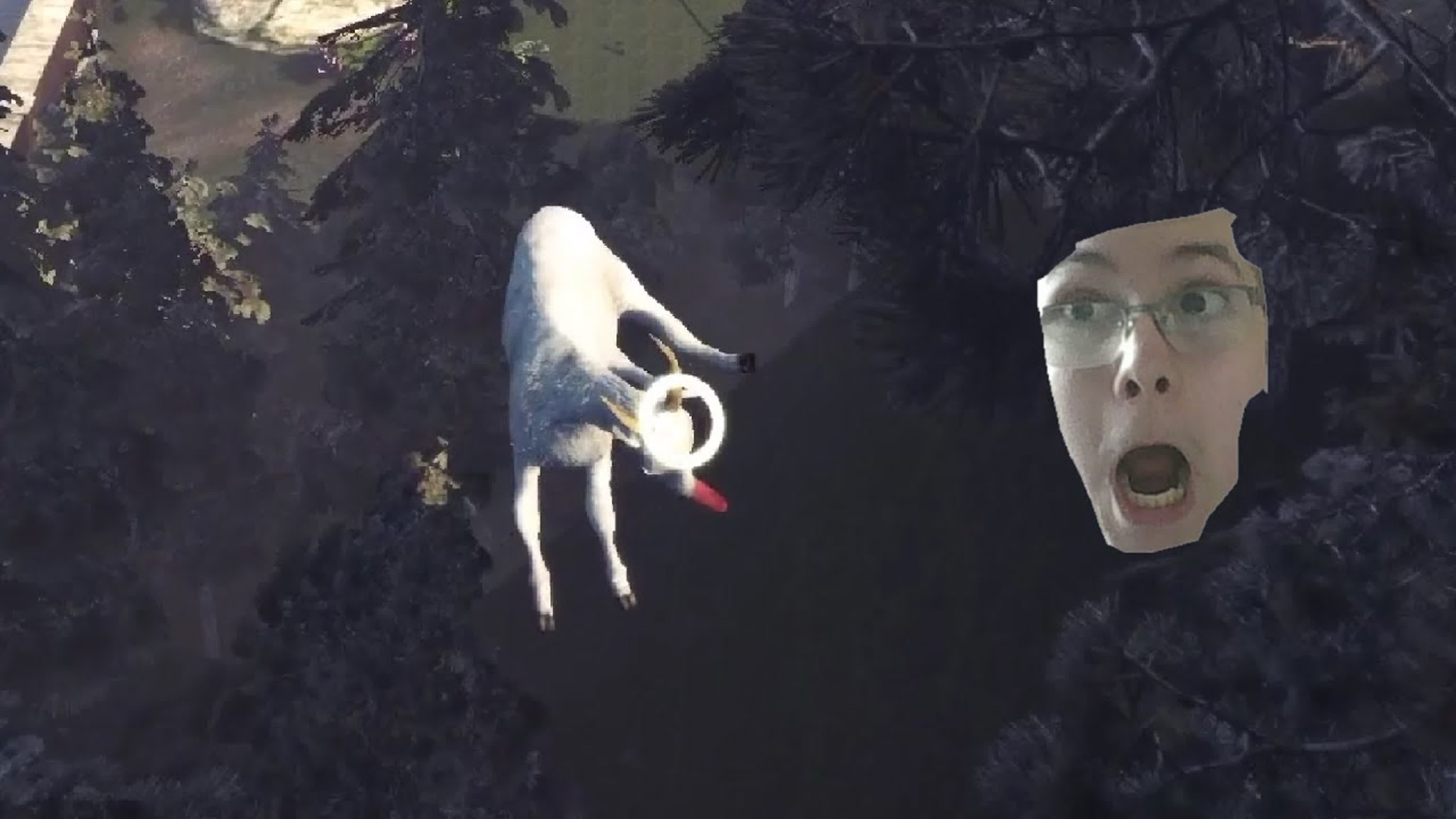 GOAT SIMULATOR