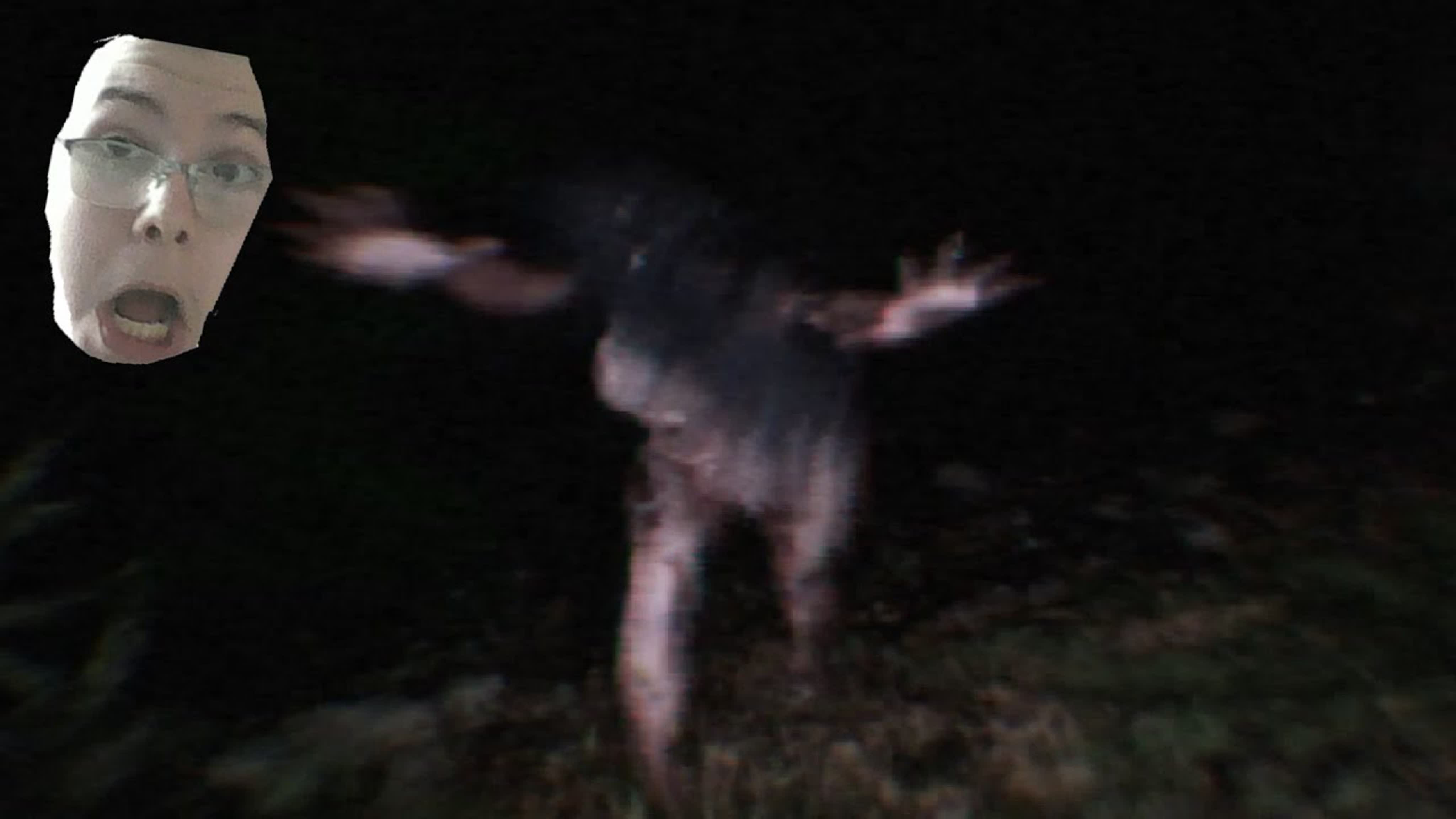 DONT SCREAM