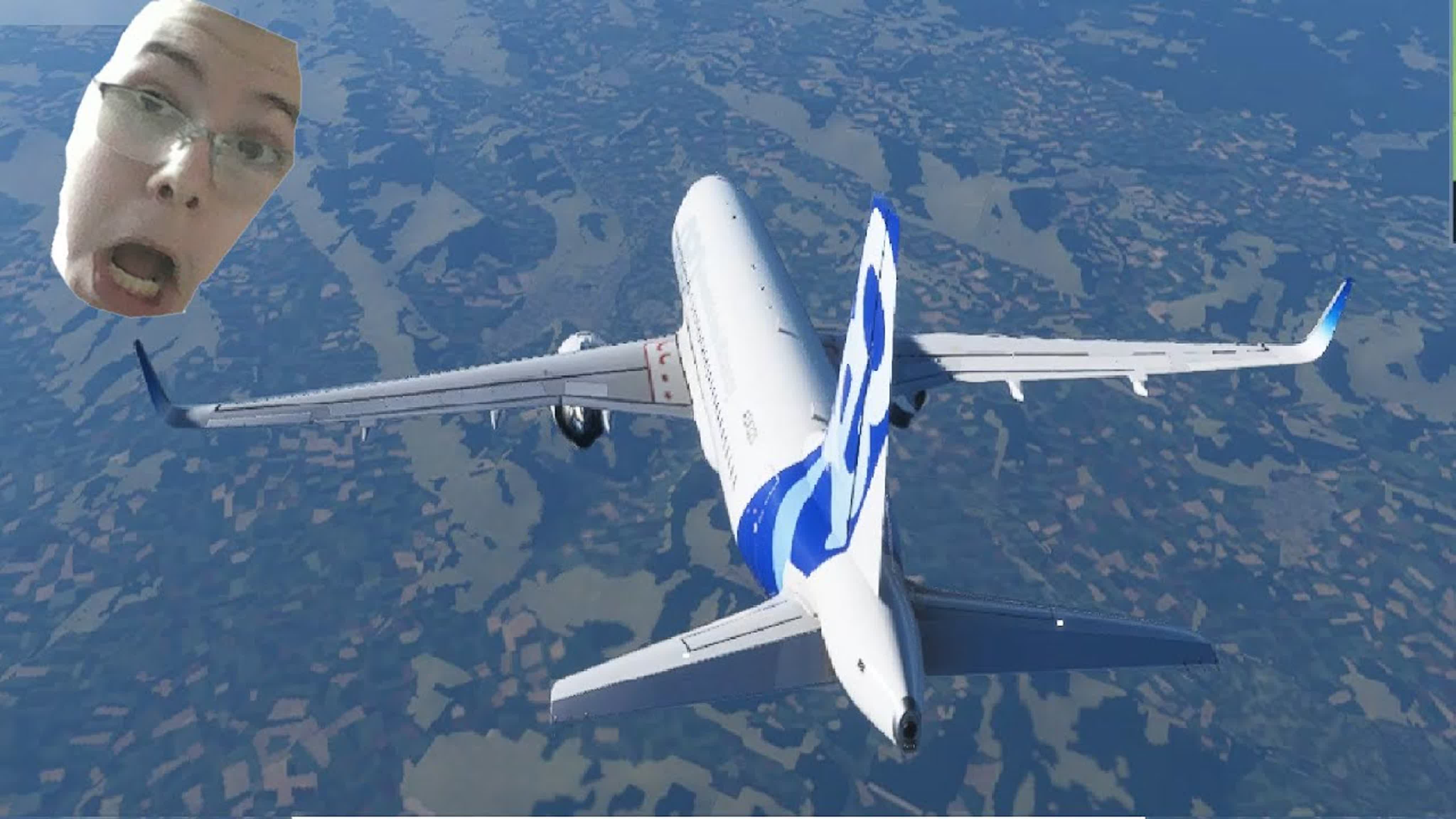 MICROSOFT FLIGHT SIMULATOR