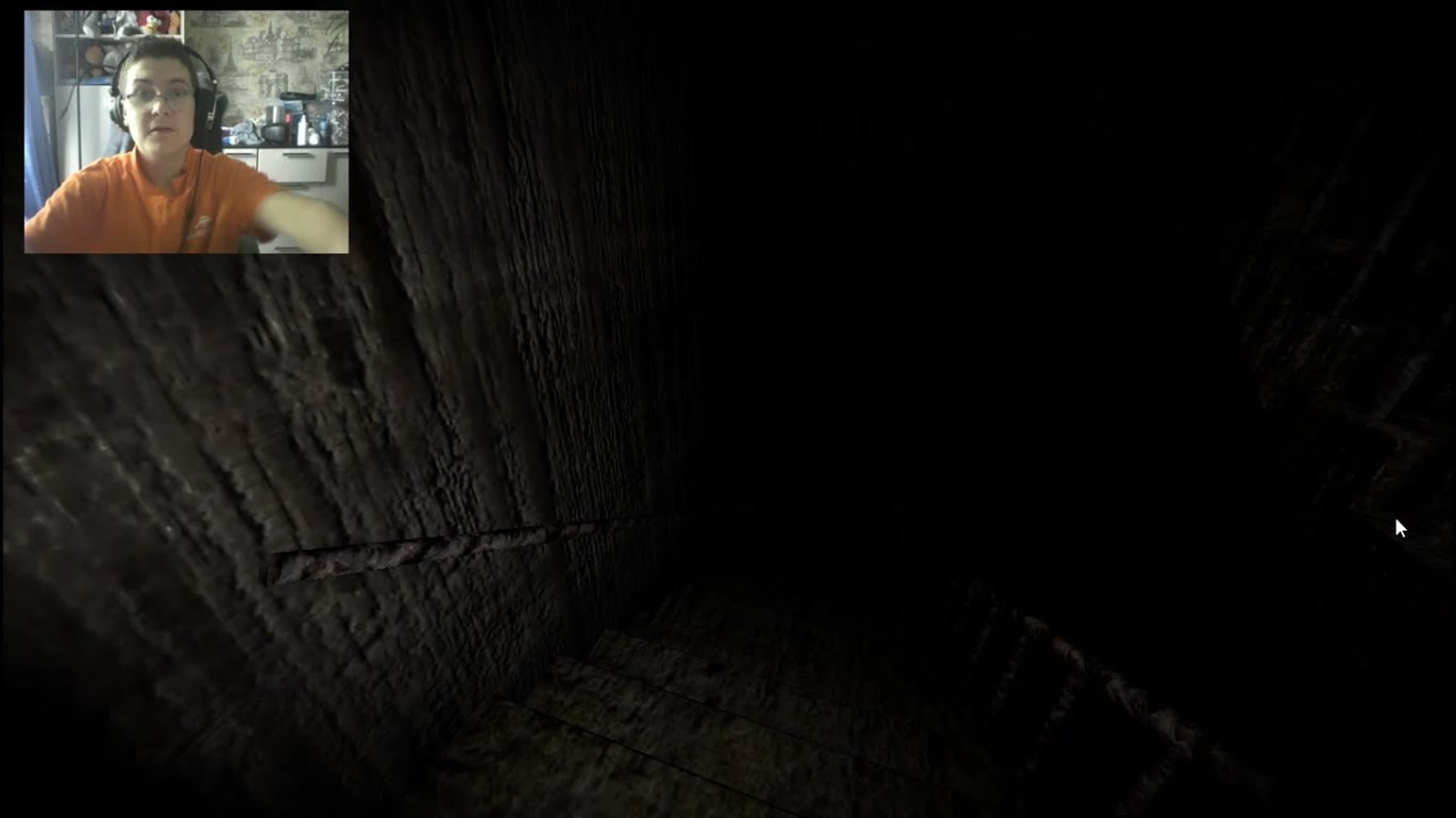 SCP 087