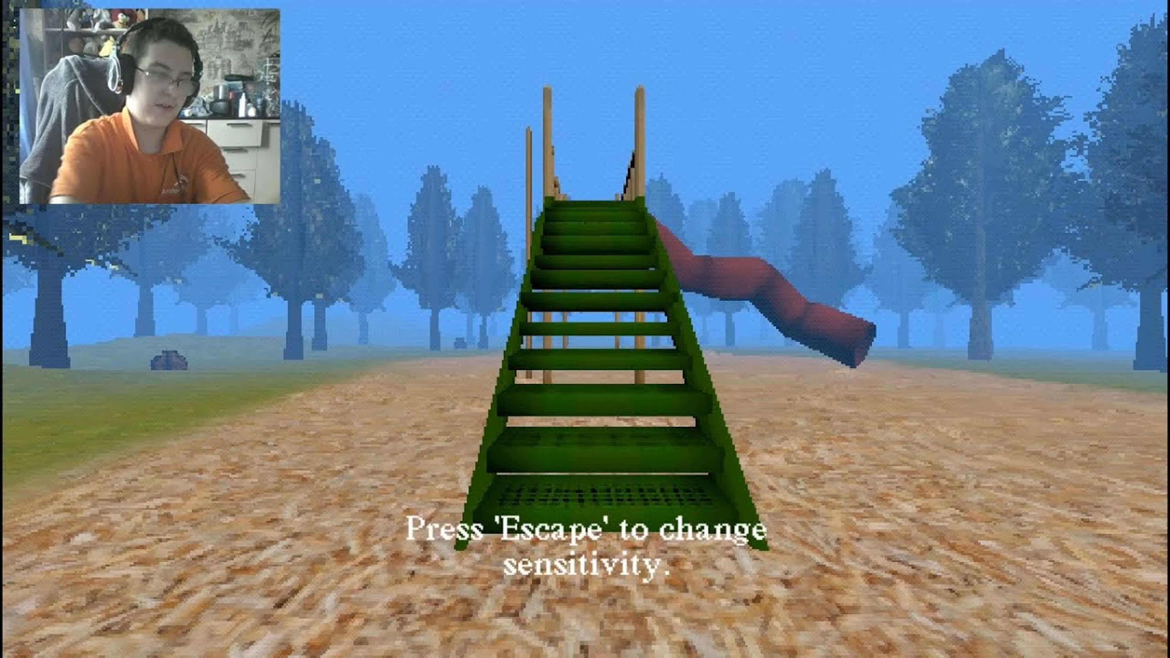 SLIDE IN THE WOODS