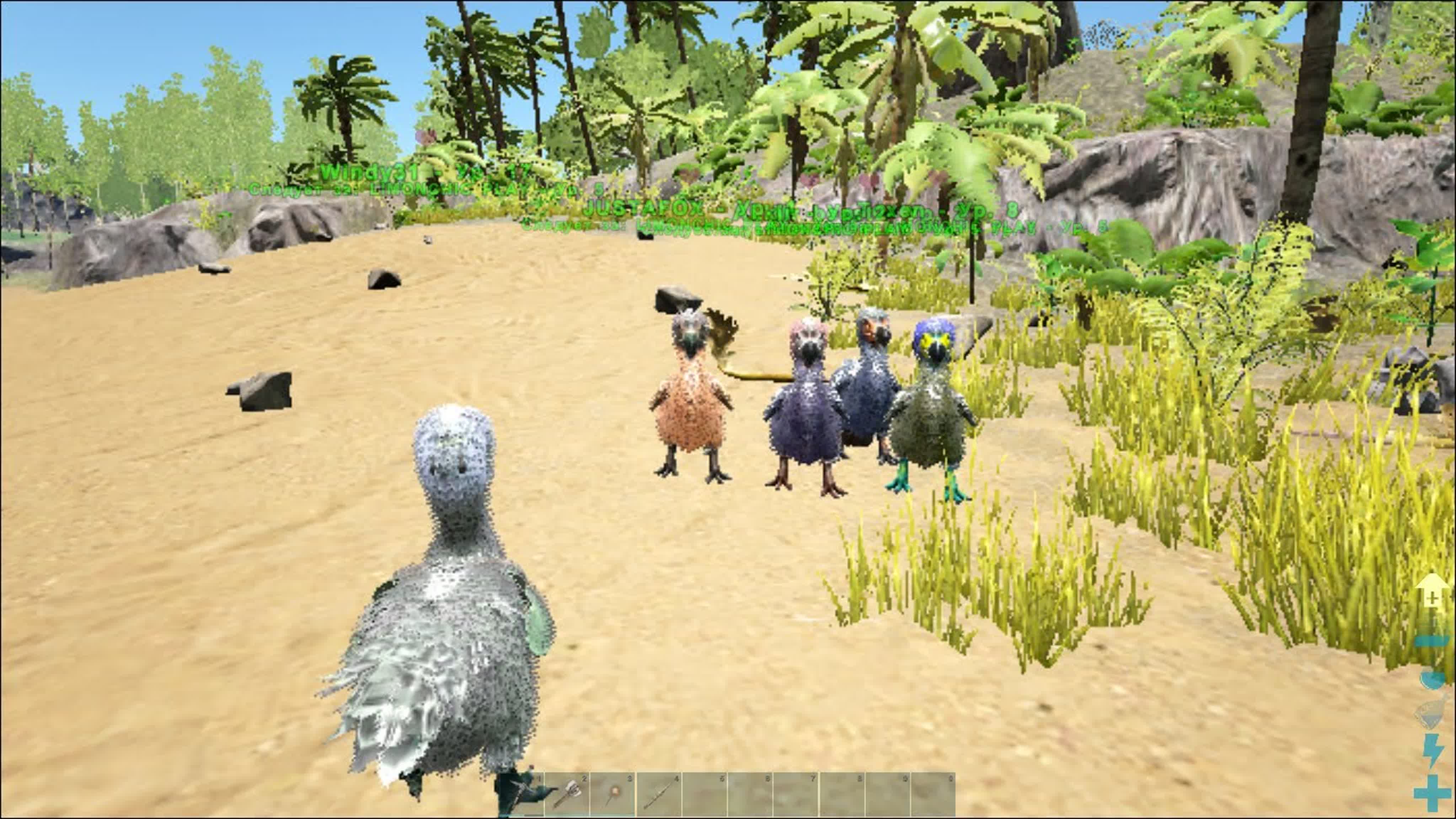 ARK