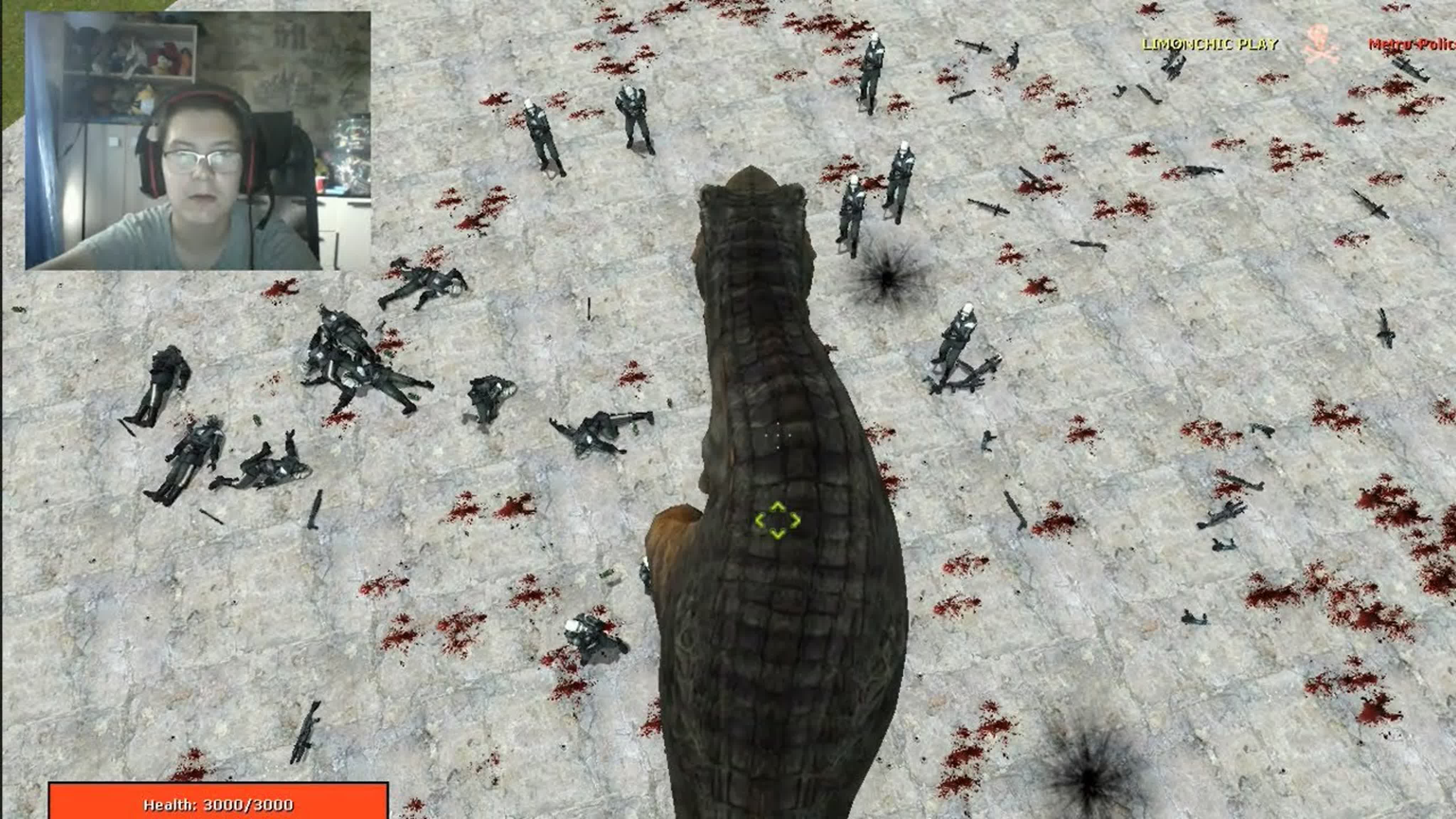 GARRY S MOD