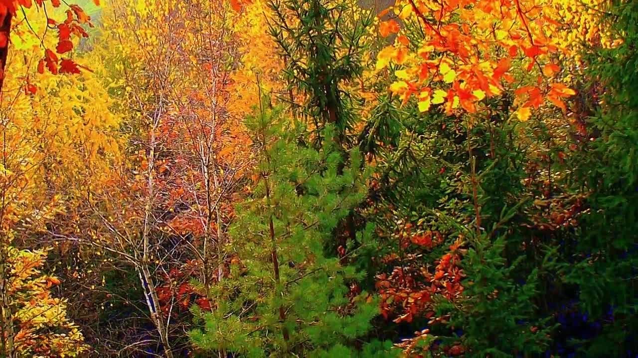 ПЕСНИ НА ФРАНЦУЗСКОМ  ЯЗЫКЕ.