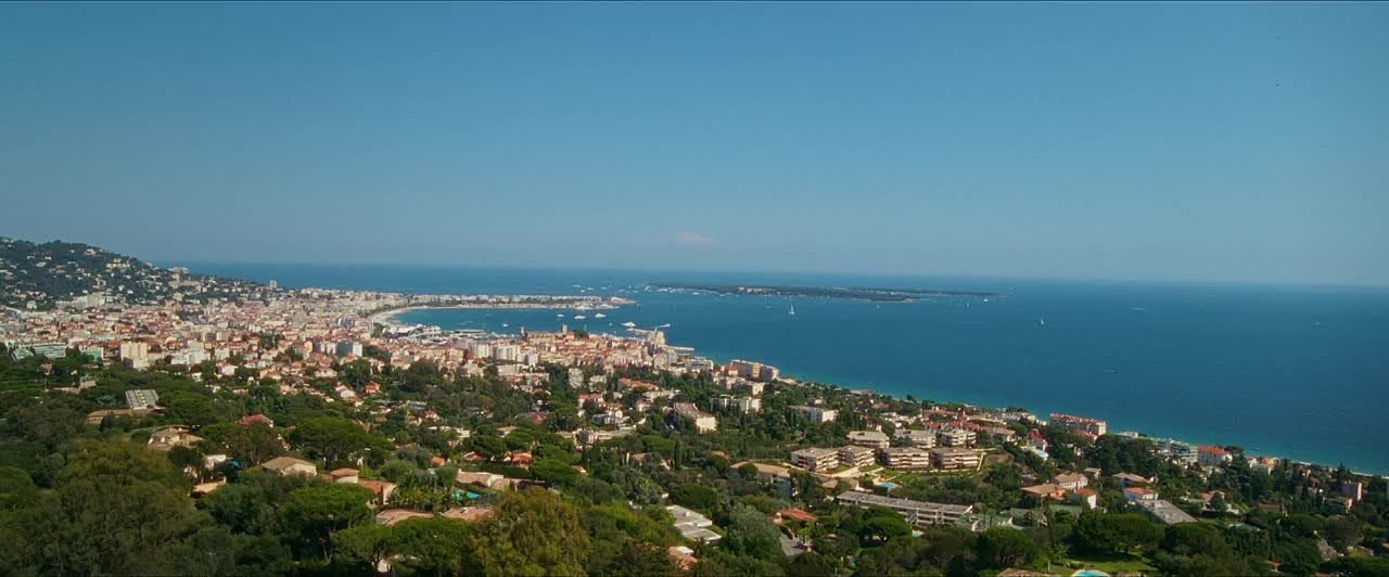 Cannes Confidential