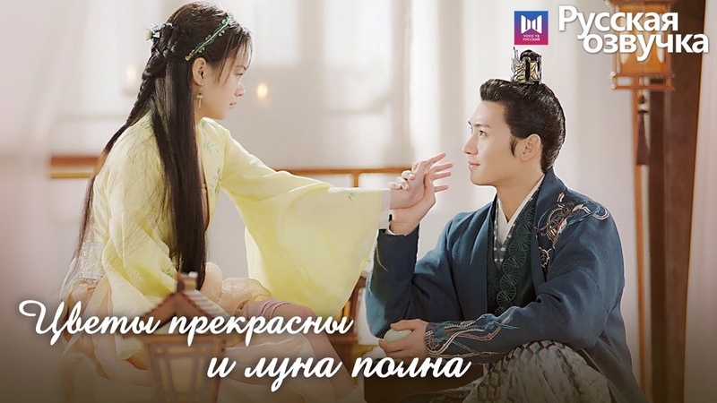 Цветы прекрасные луна полна