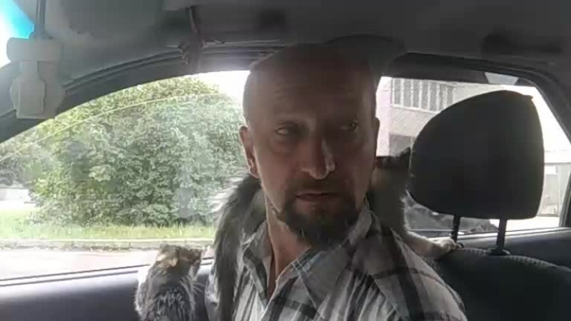 Наши прямые трансляции