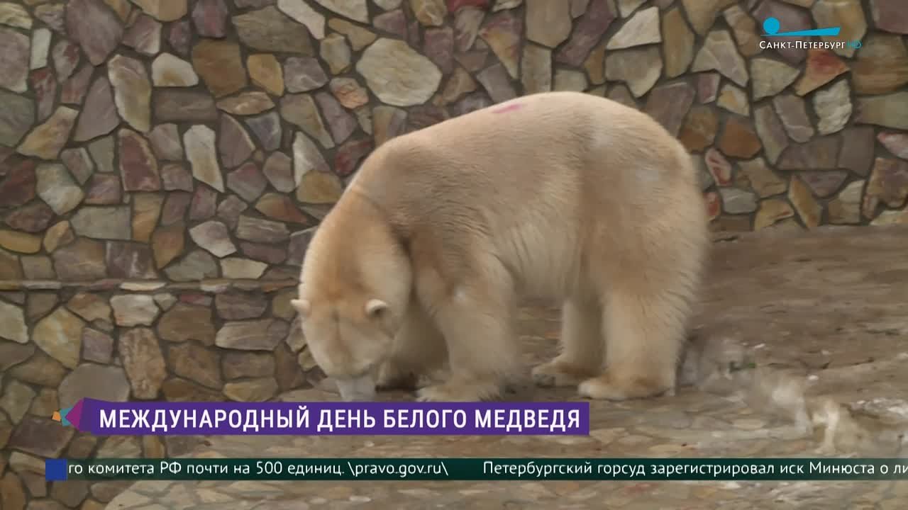 Ленинградский зоопарк