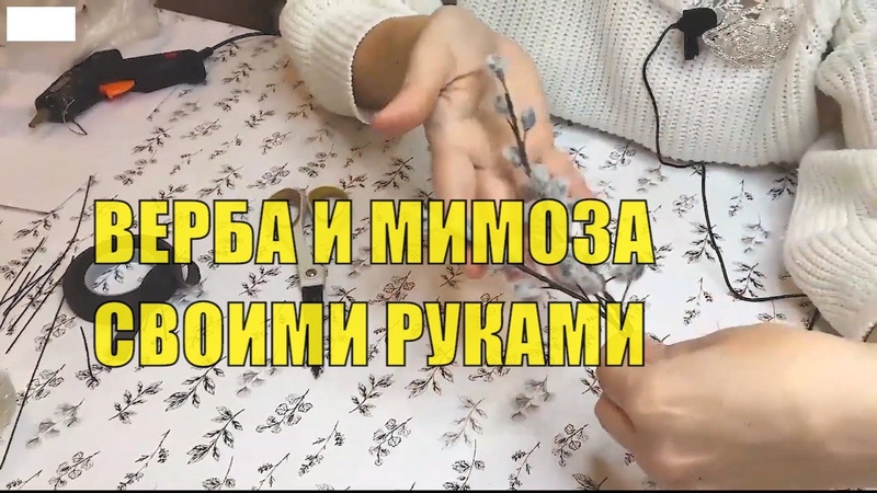 ВЕРБА