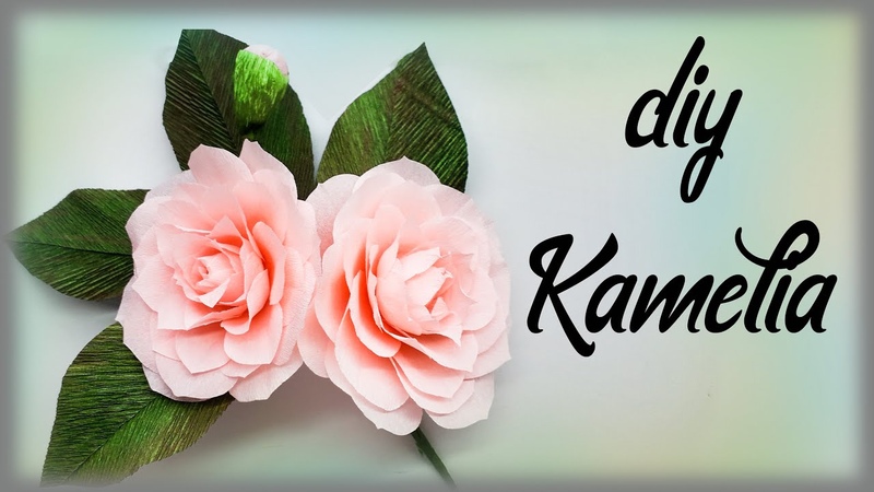 Камелия