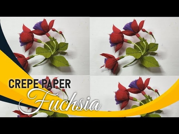 Фуксия