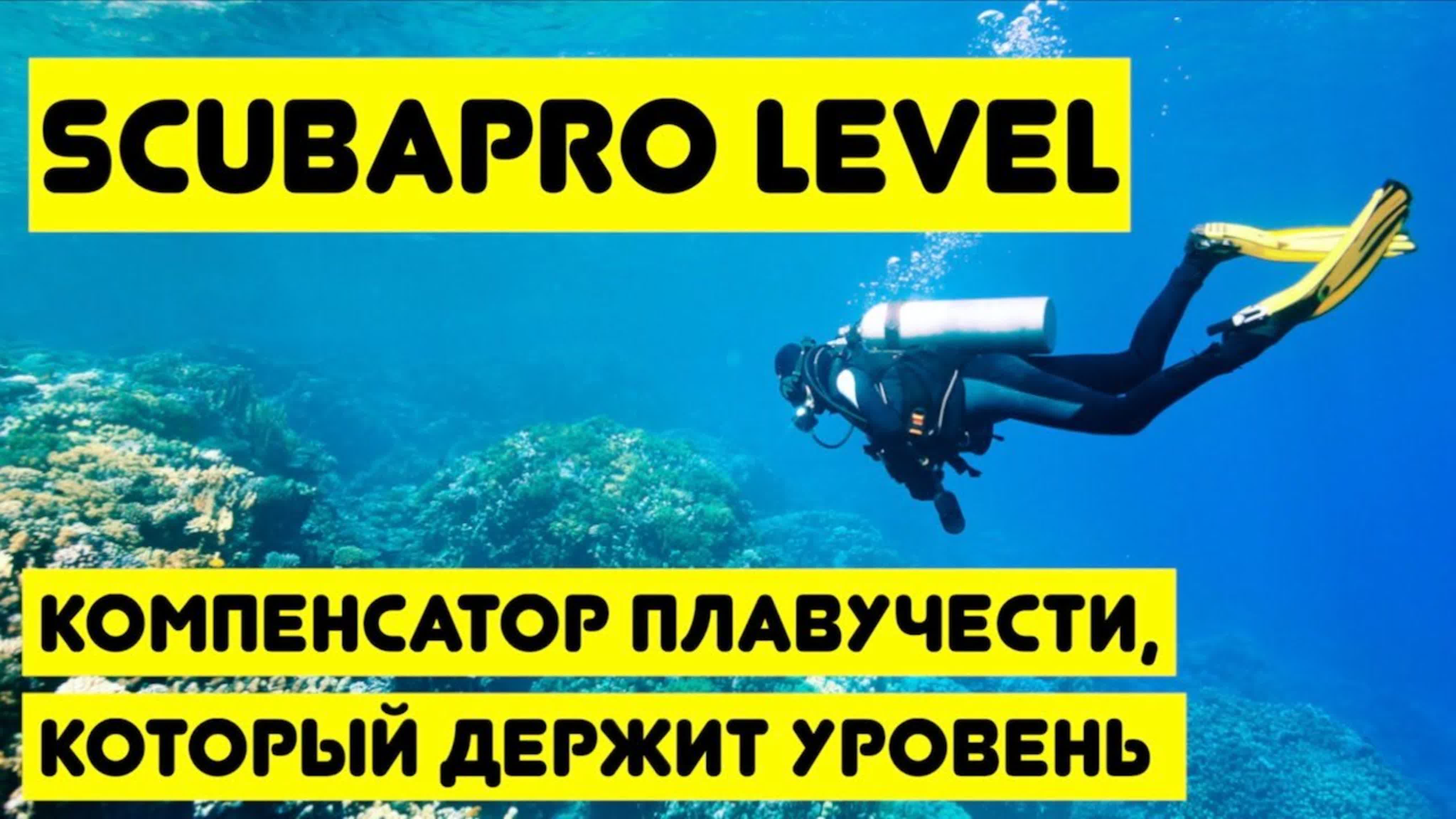 Фирменные ролики наших брендов