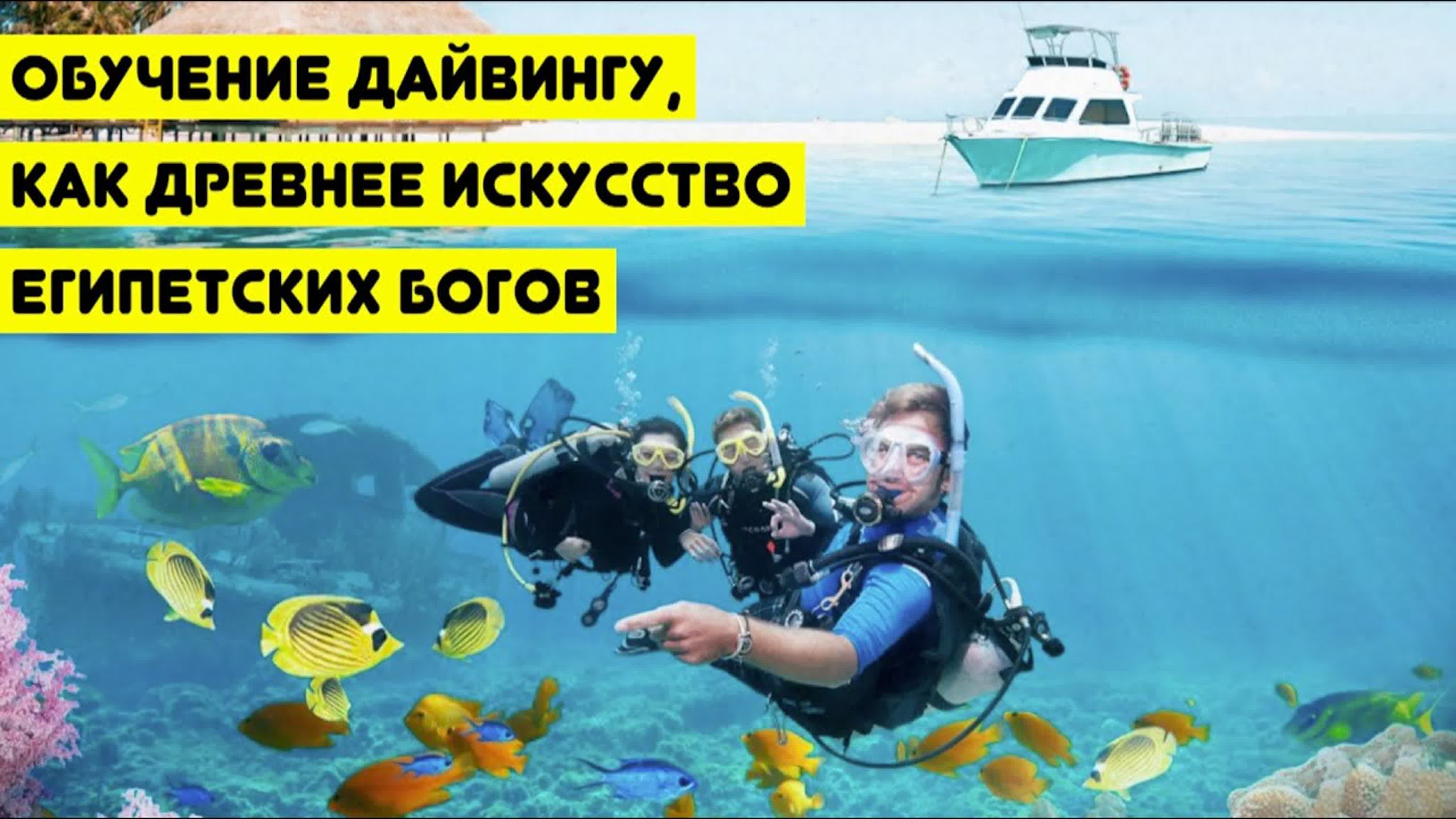 Дайвинг центр DIVERS