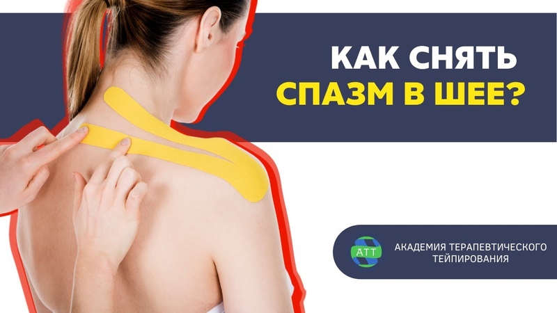 Спорт