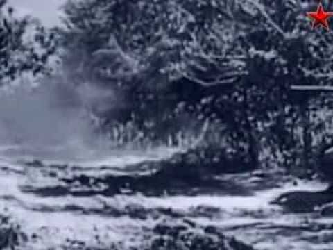Львовско - Сандомирская наст. опер.