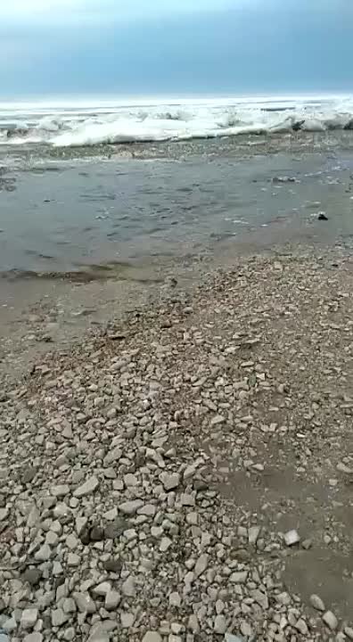 Биосфера