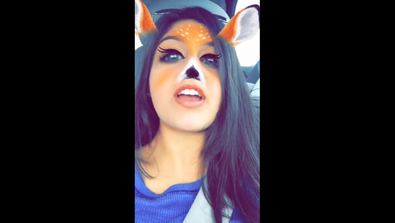 «Аккаунты: «Snapchat»