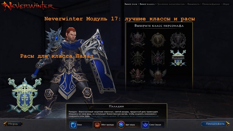 Праведный паладин