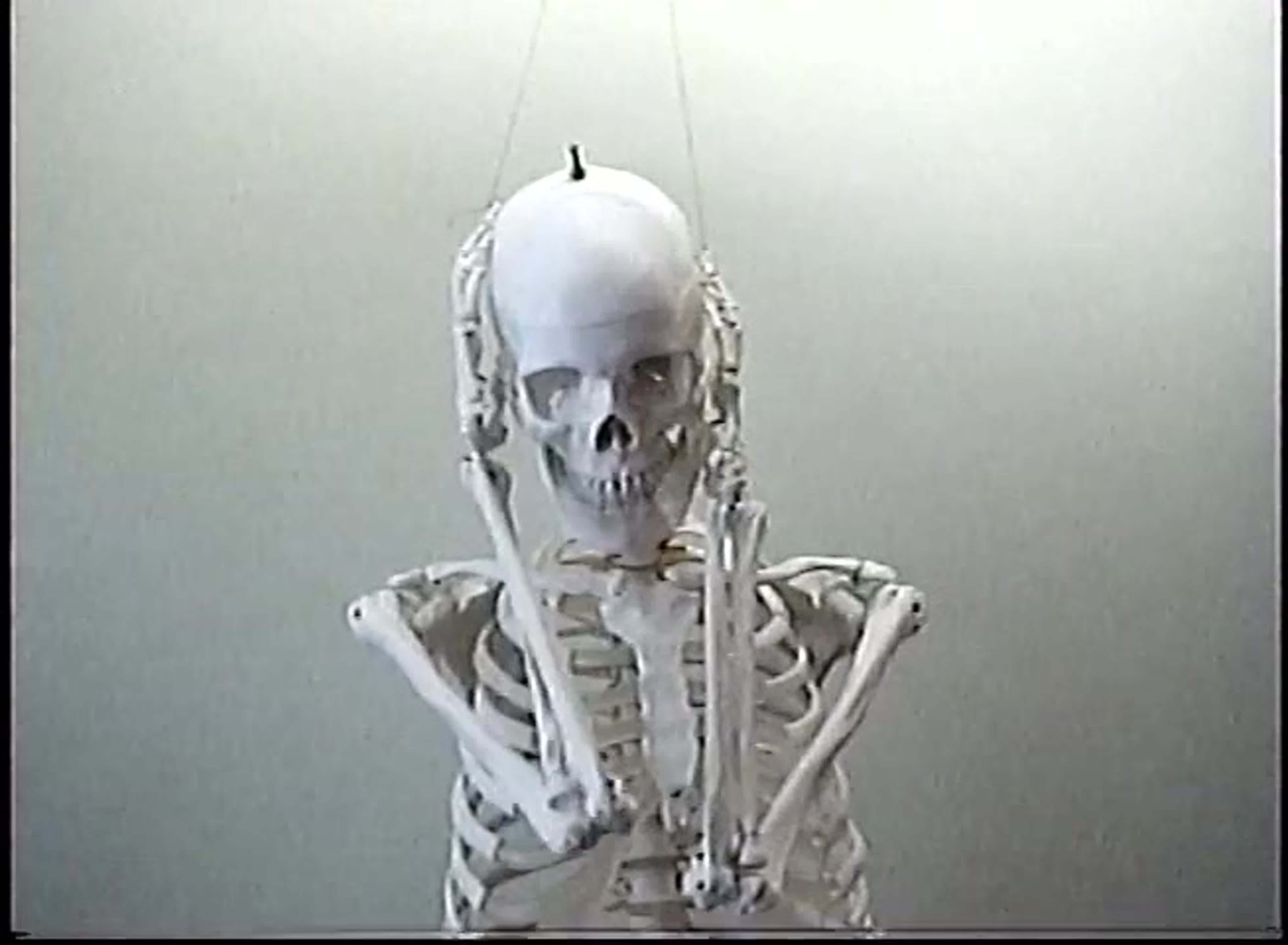 BONES