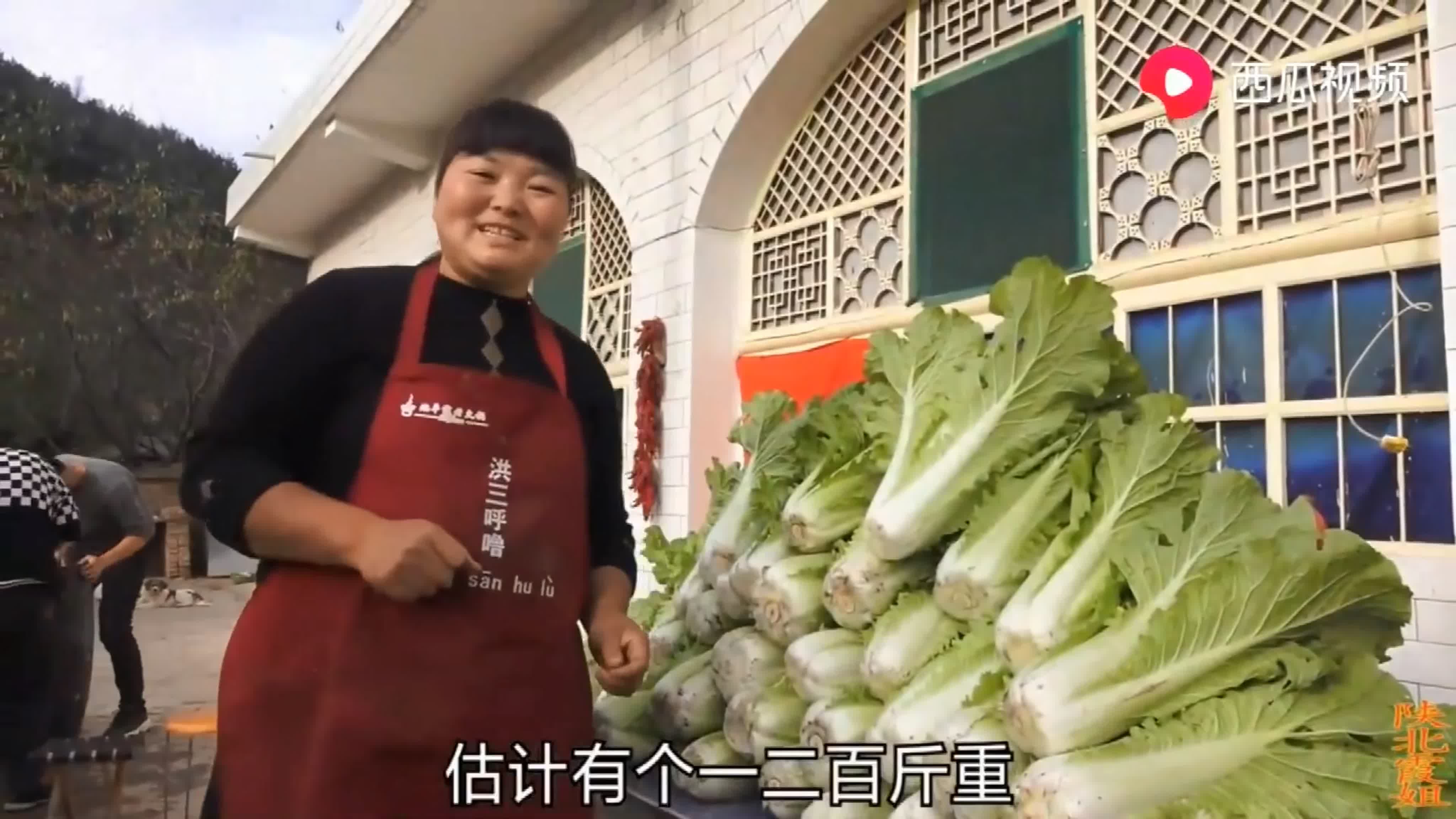 Что едят в провинции Шэньси? Приготовление пищи на свежем воздухе! Очаровательная Ся Цзе из деревни Шанбей, научит нас готовить.