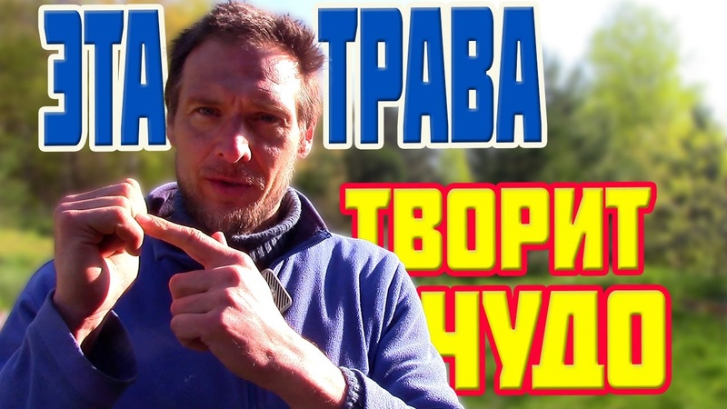Питание