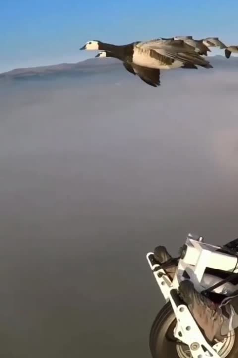 Необычное