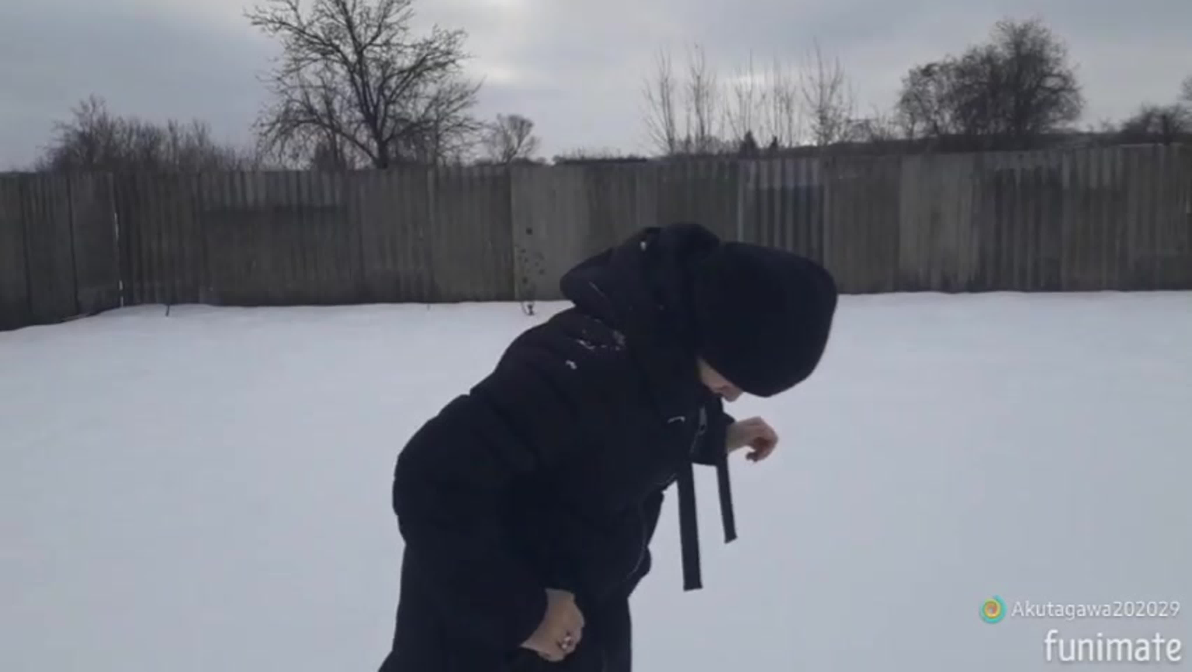 Виртуальные снежки
