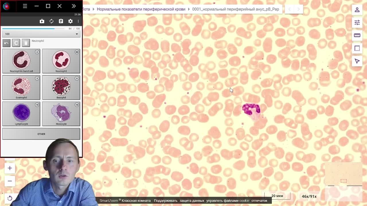 Бесплатные прямые эфиры