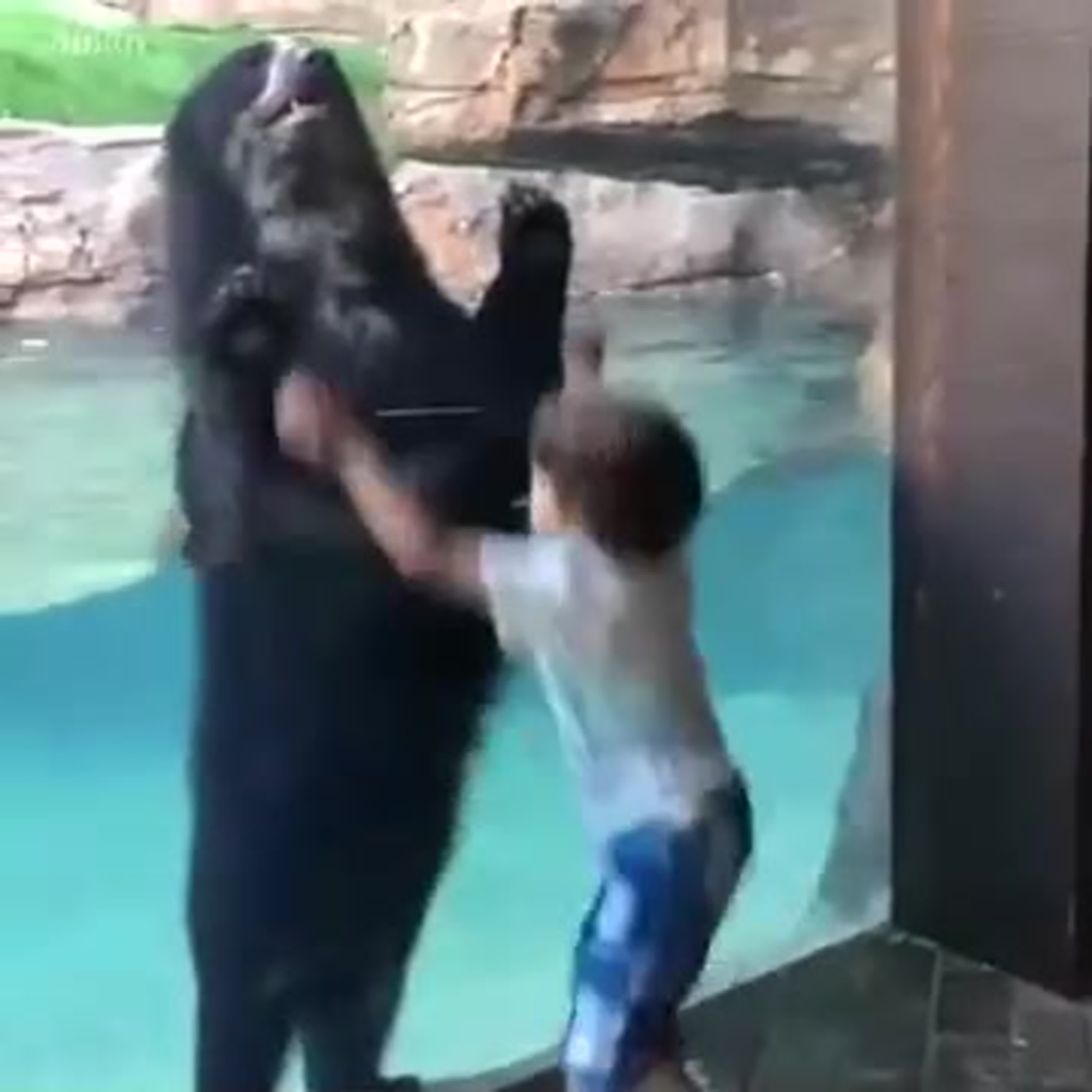 Fun