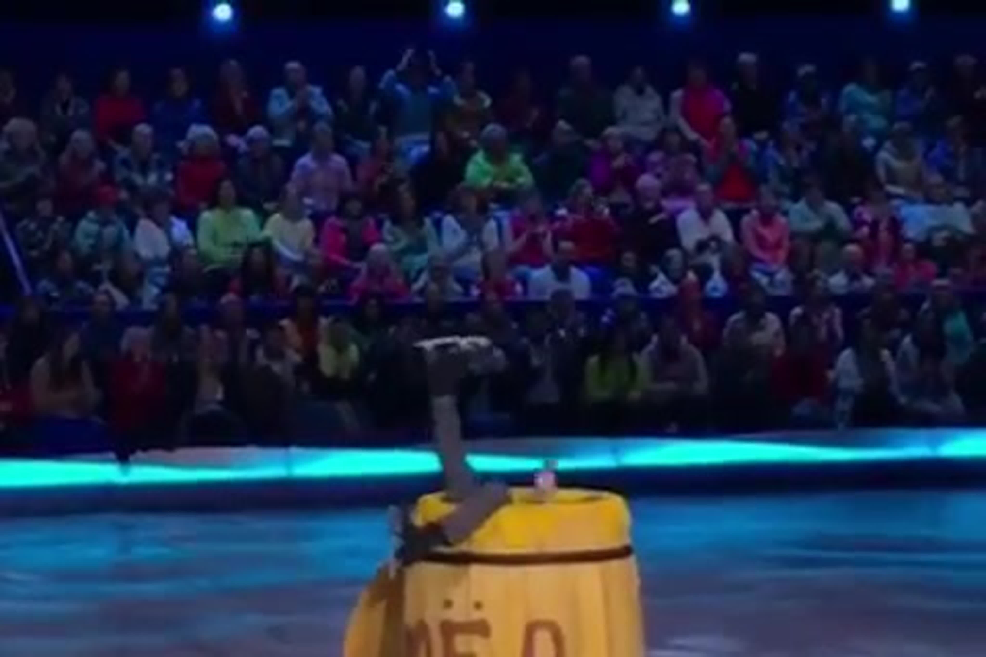 Послы Зимней универсиады-2019