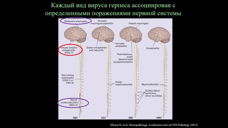 Инфекции