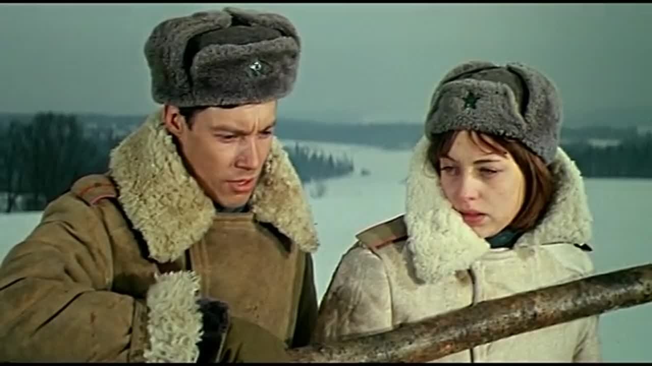 Елена Шанина