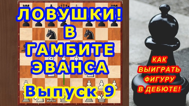 шахматы