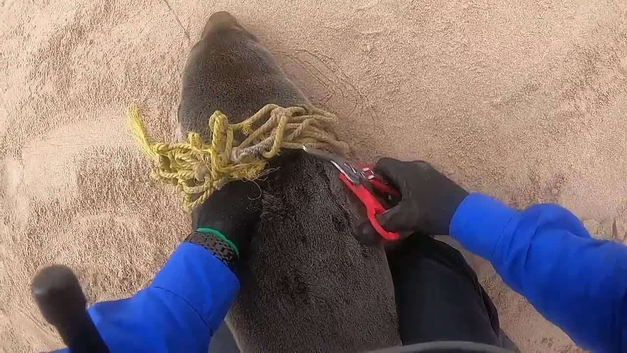 Экологические ужасы