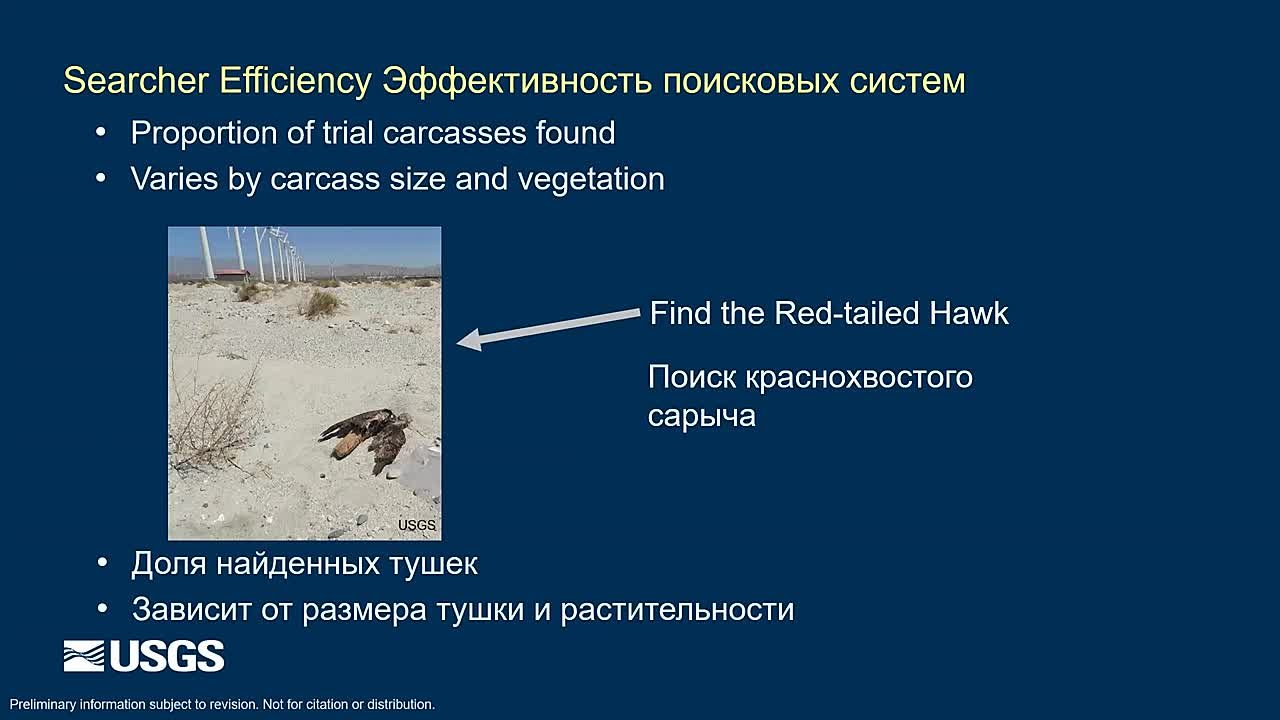 Самое разное про экологию
