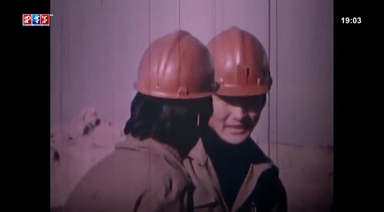 1981