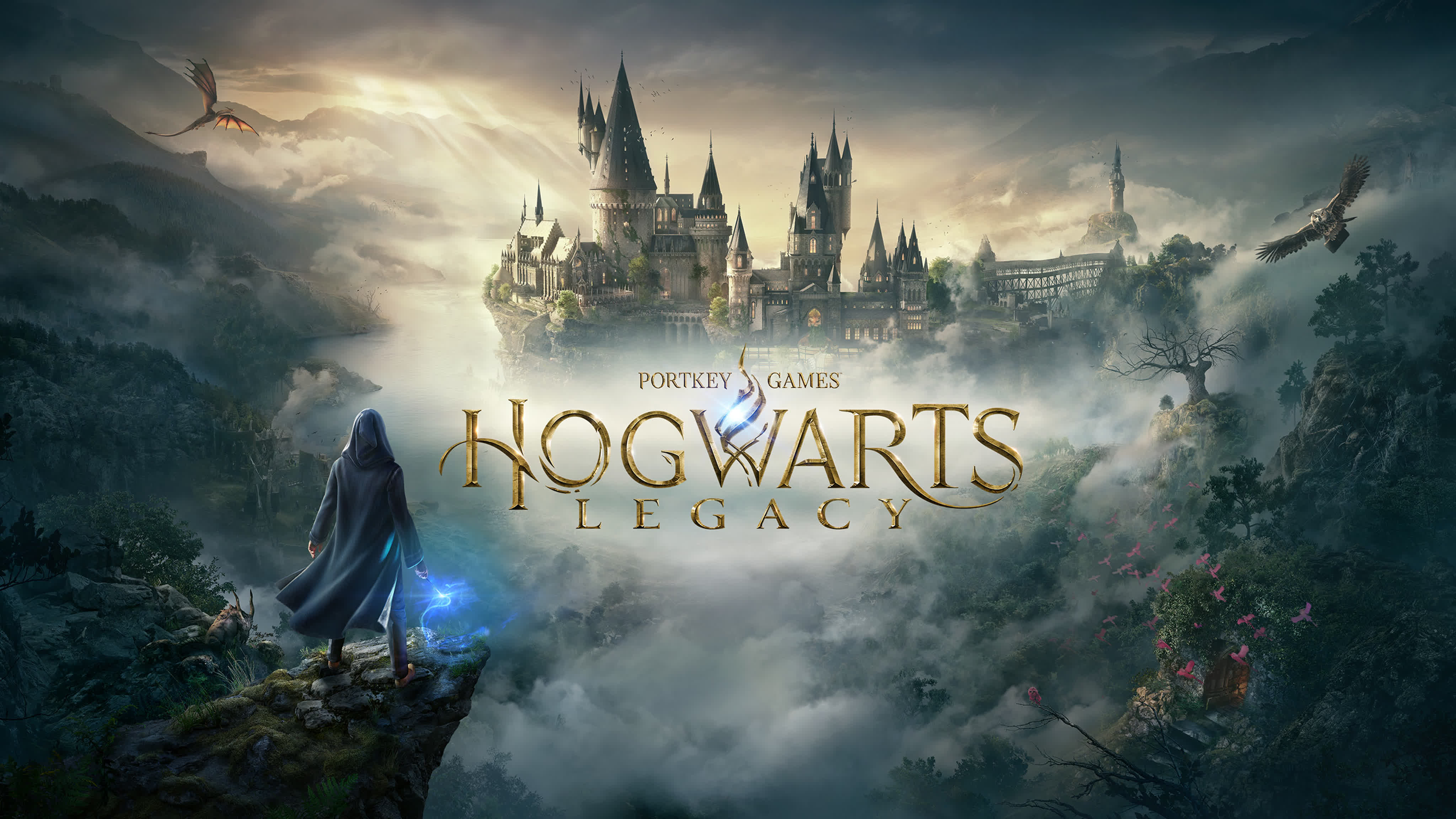Hogwarts Legacy | no comment