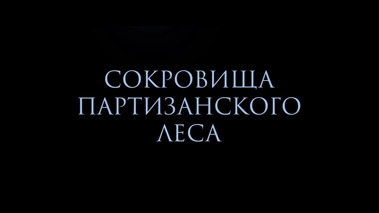 «Сокровища партизанского леса» | 12+