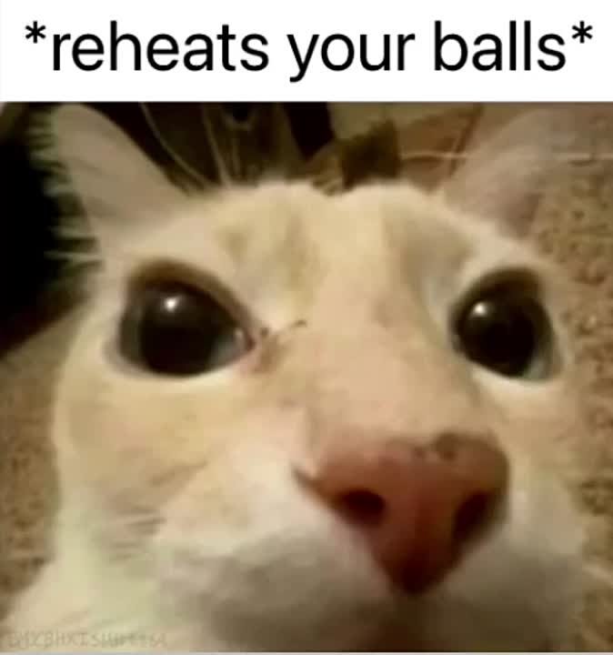 balls