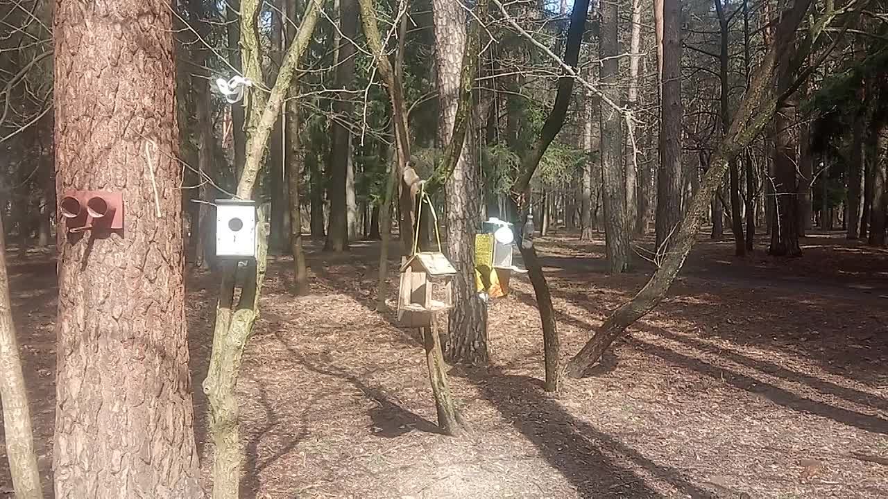Разное моё, часть 2