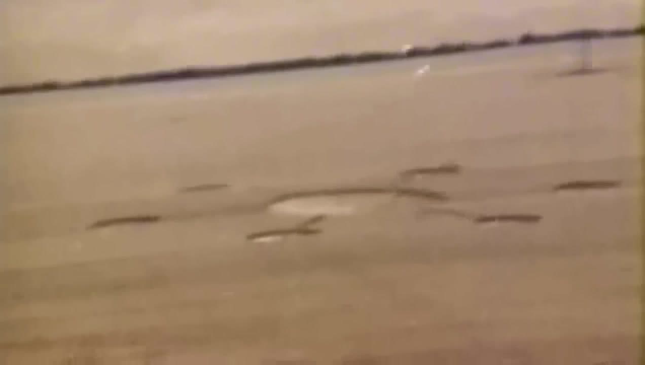 видео