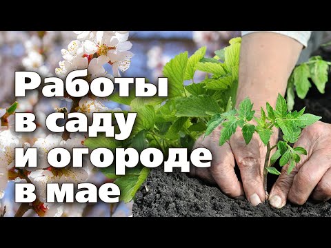дача