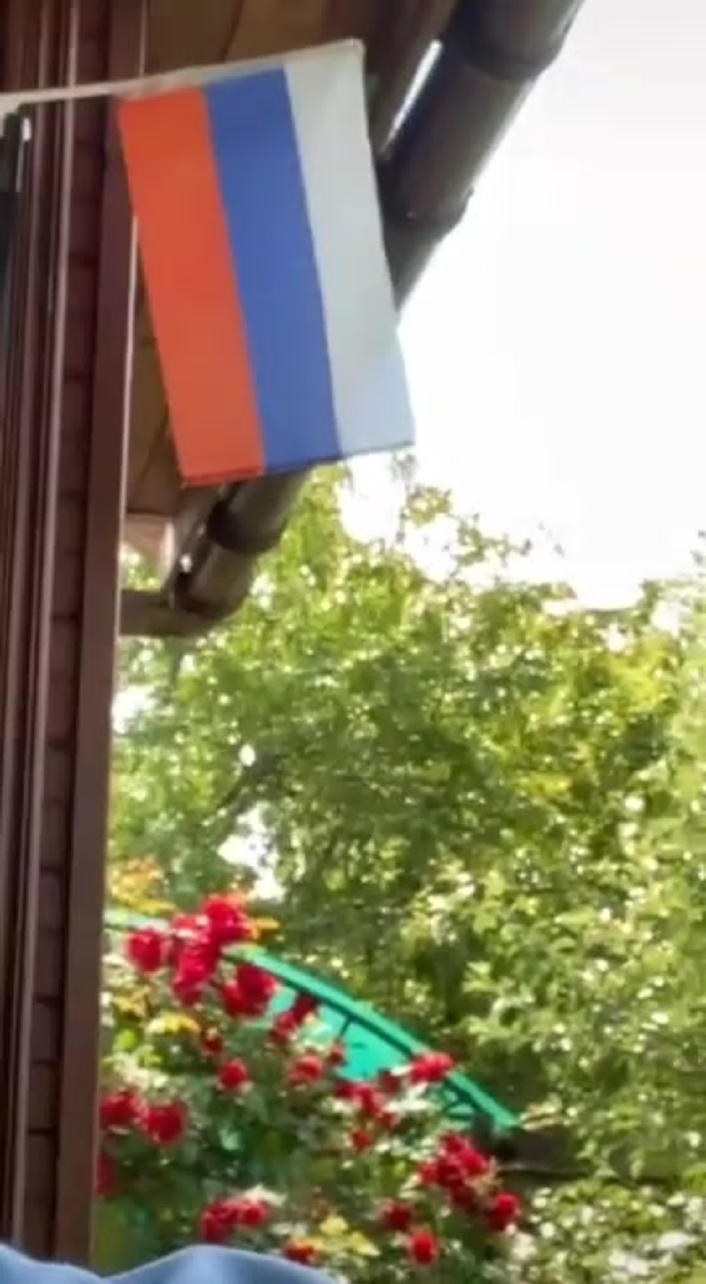Высмеивание политики и политиков