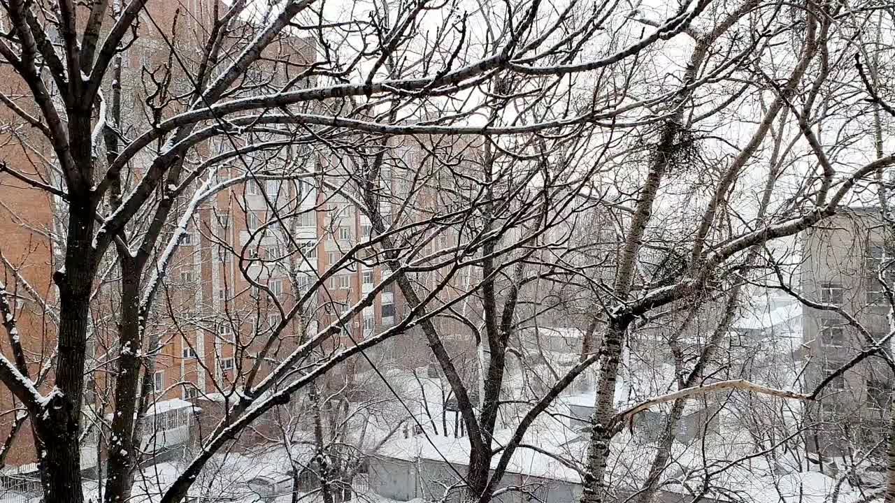 Зарисовочки