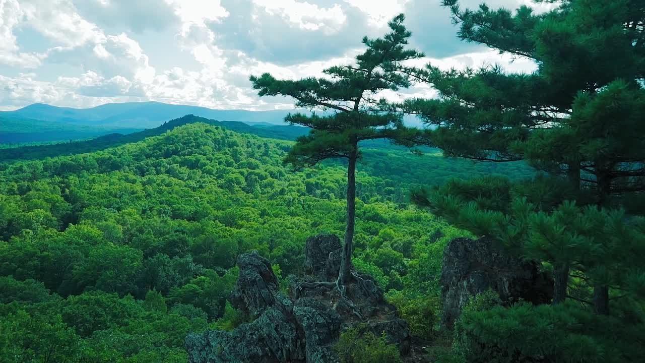 Зарисовки от Gamaun Video