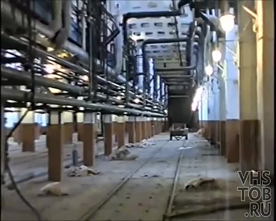 Предприятия города