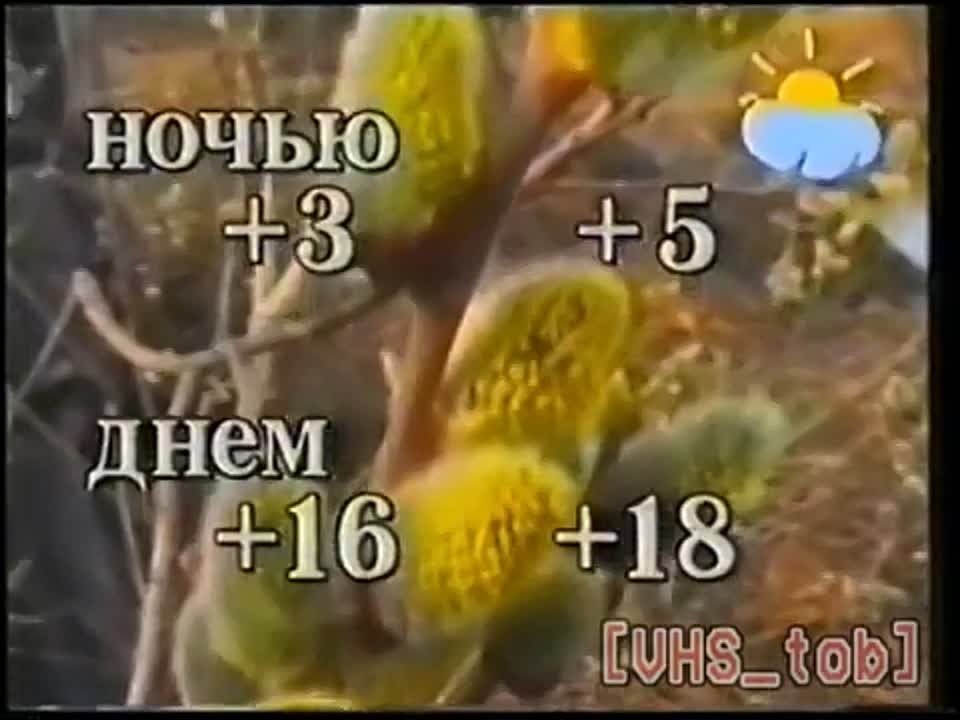 Тобольское телевиденье