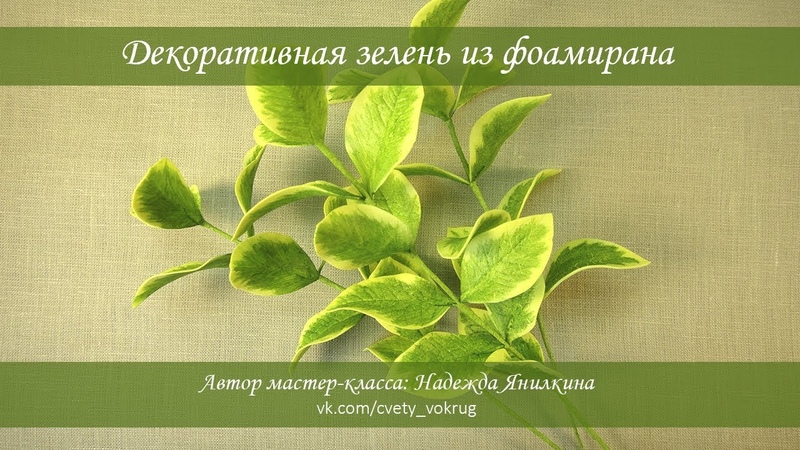 листья, стебли для розы